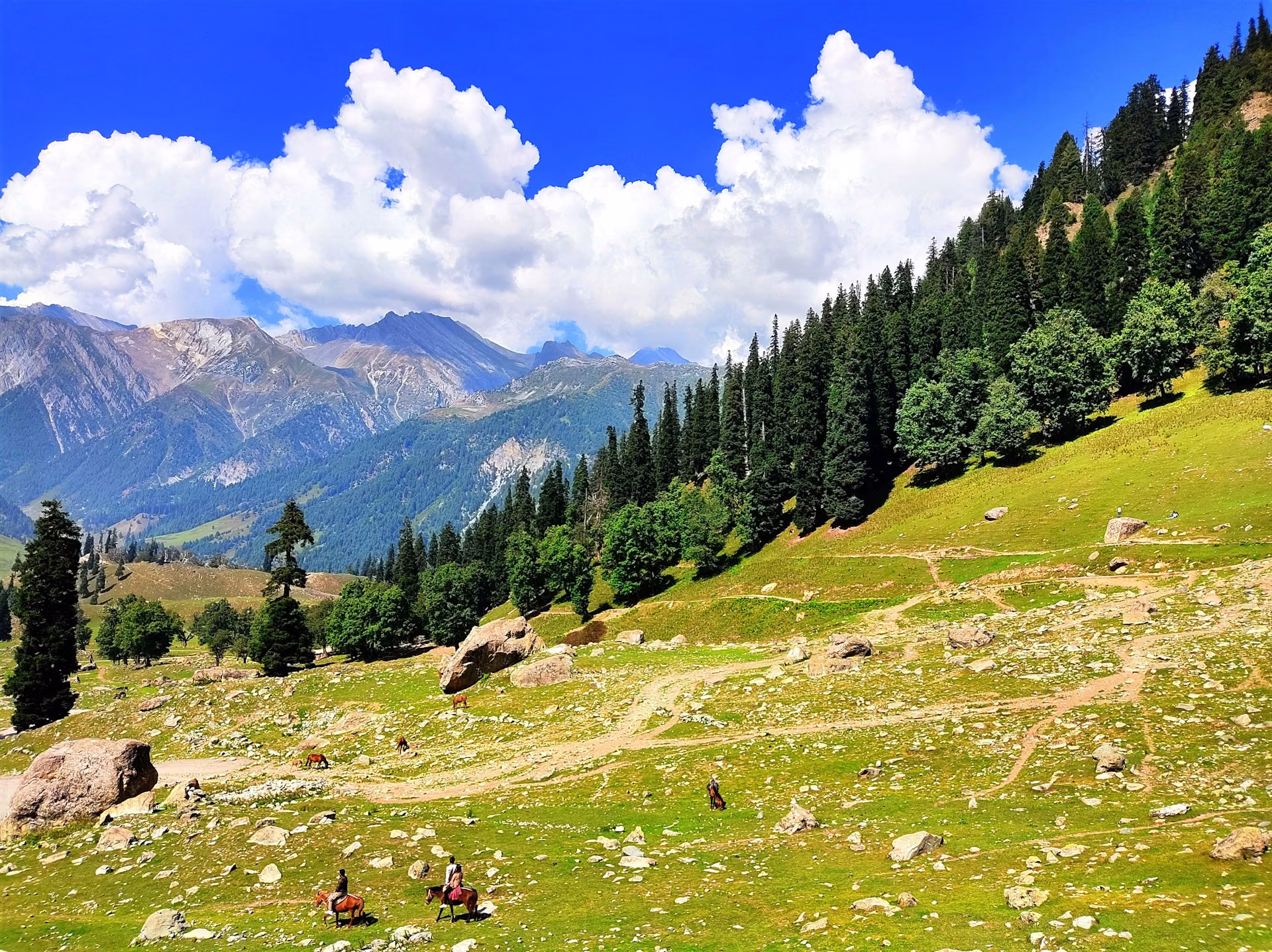 Sonamarg