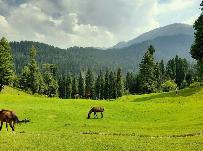 Tosamaidan 6 Nights 7 Day Trek – photo 3
