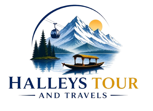 Halleys Tour and Travels