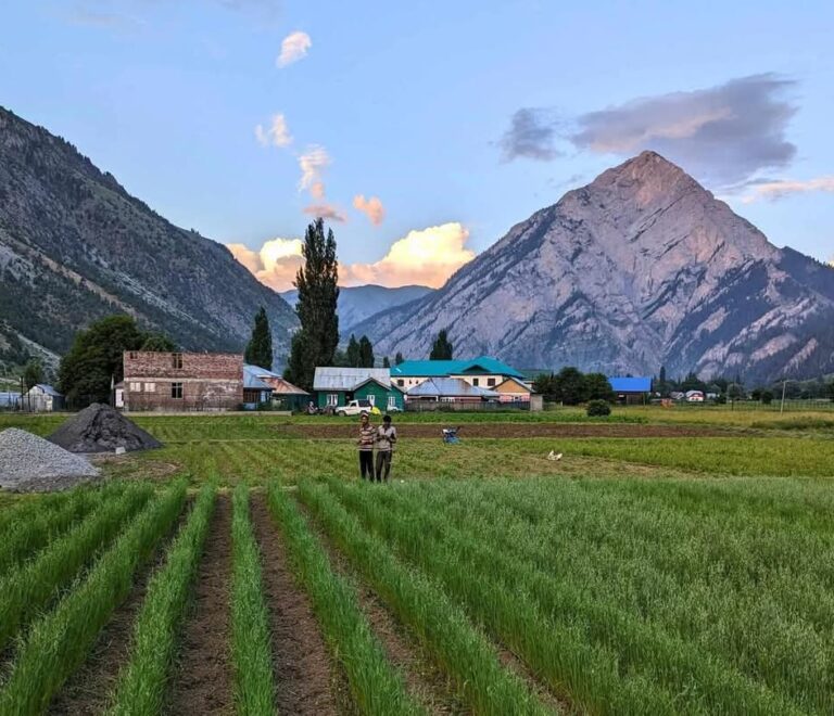 Gurez Valley Tour Package